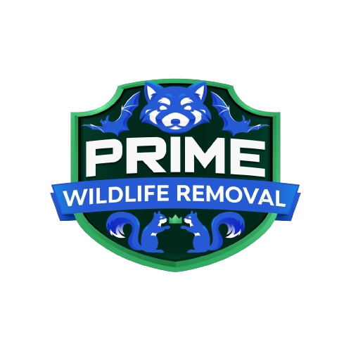 Wildlife Removal Wabash